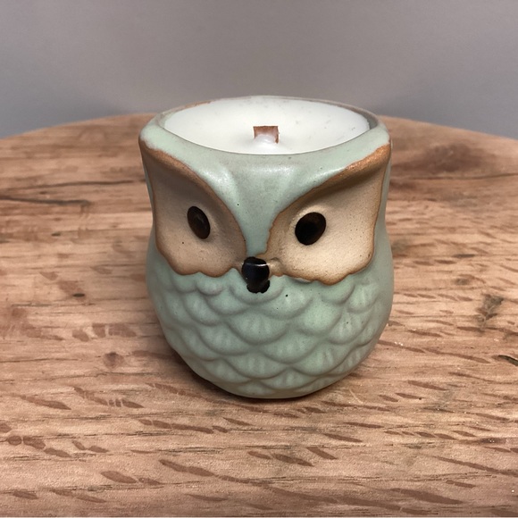 Owl Wood Wick Candle - Repurposed Planter - Gingerbread Vanilla Scent - Unique - Picture 2 of 10